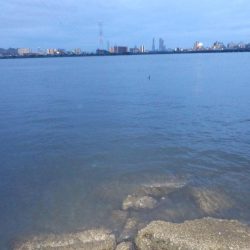 どシャロー‼ボトムごりごり‼